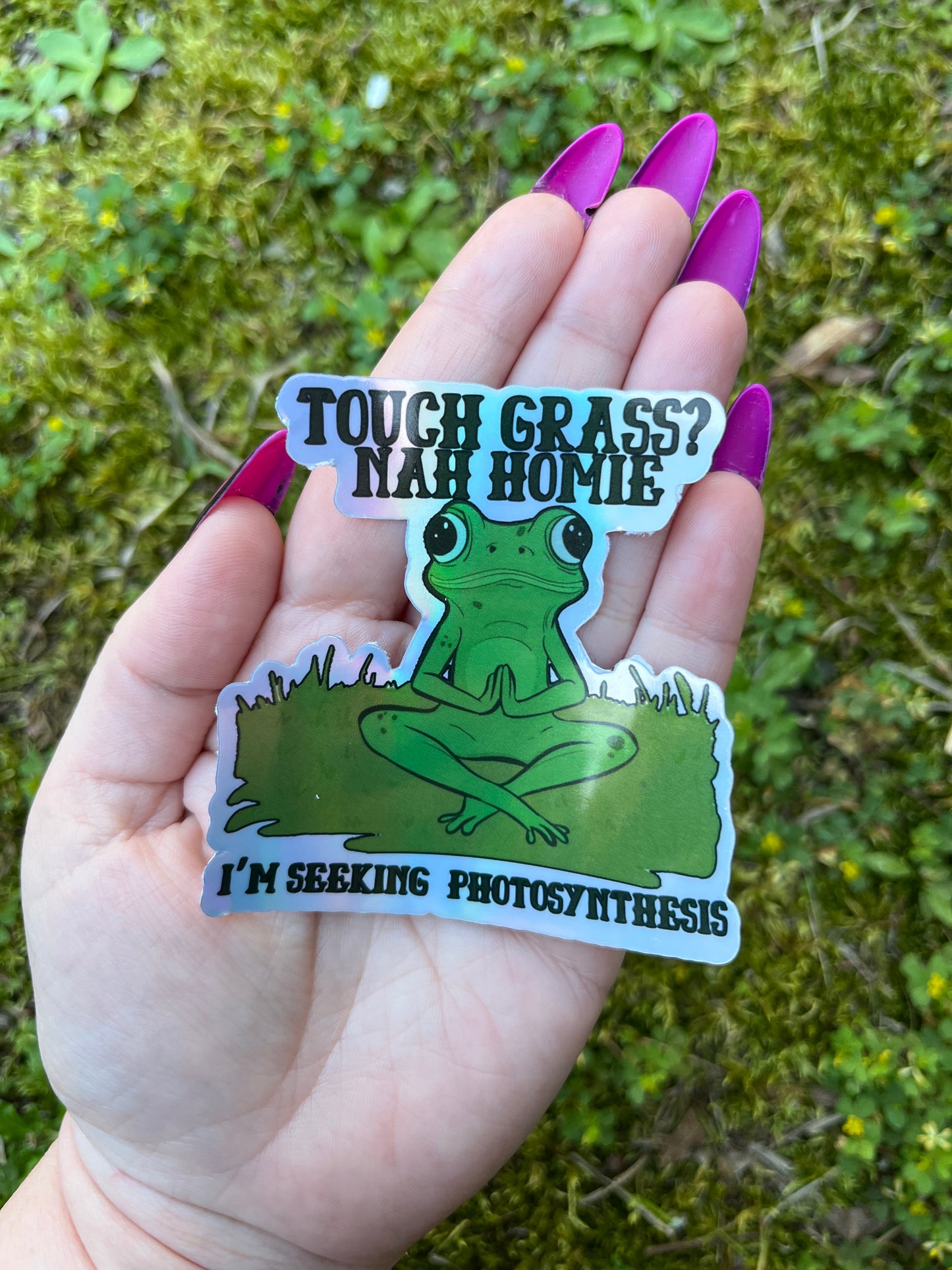 Seeking Photosynthesis Holographic Sticker