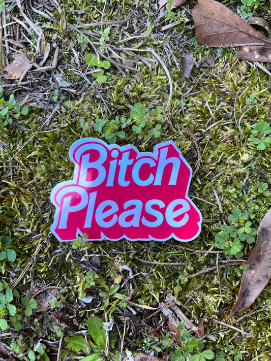 B*tch please holographic sticker